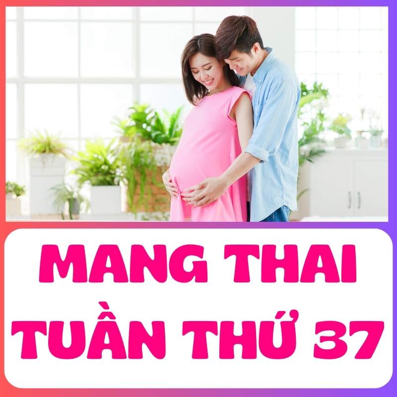 Mẹ bầu tham gia lớp học tiền sản tuần 37